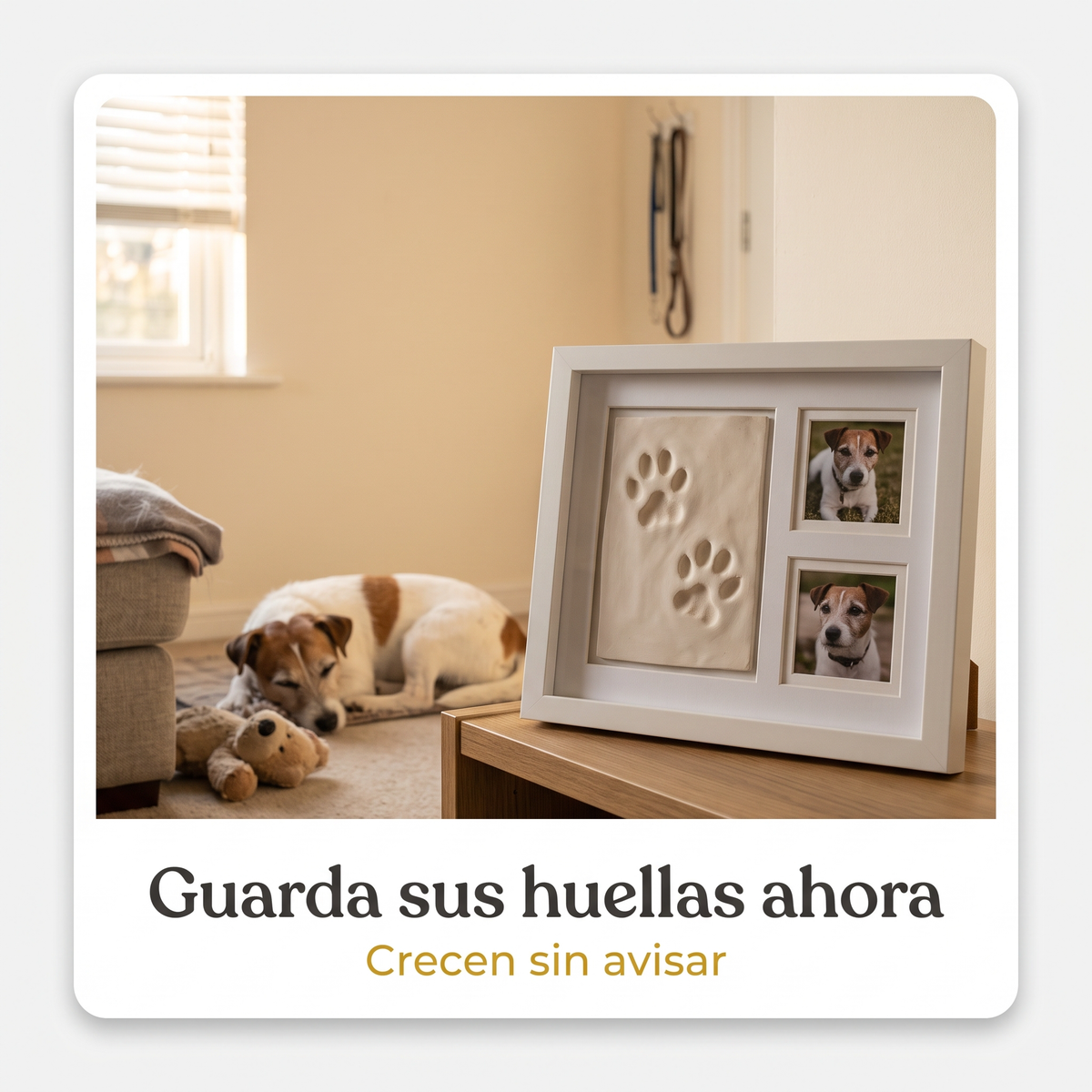 Cuadro recuerdo de mascota sobre repisa en casa